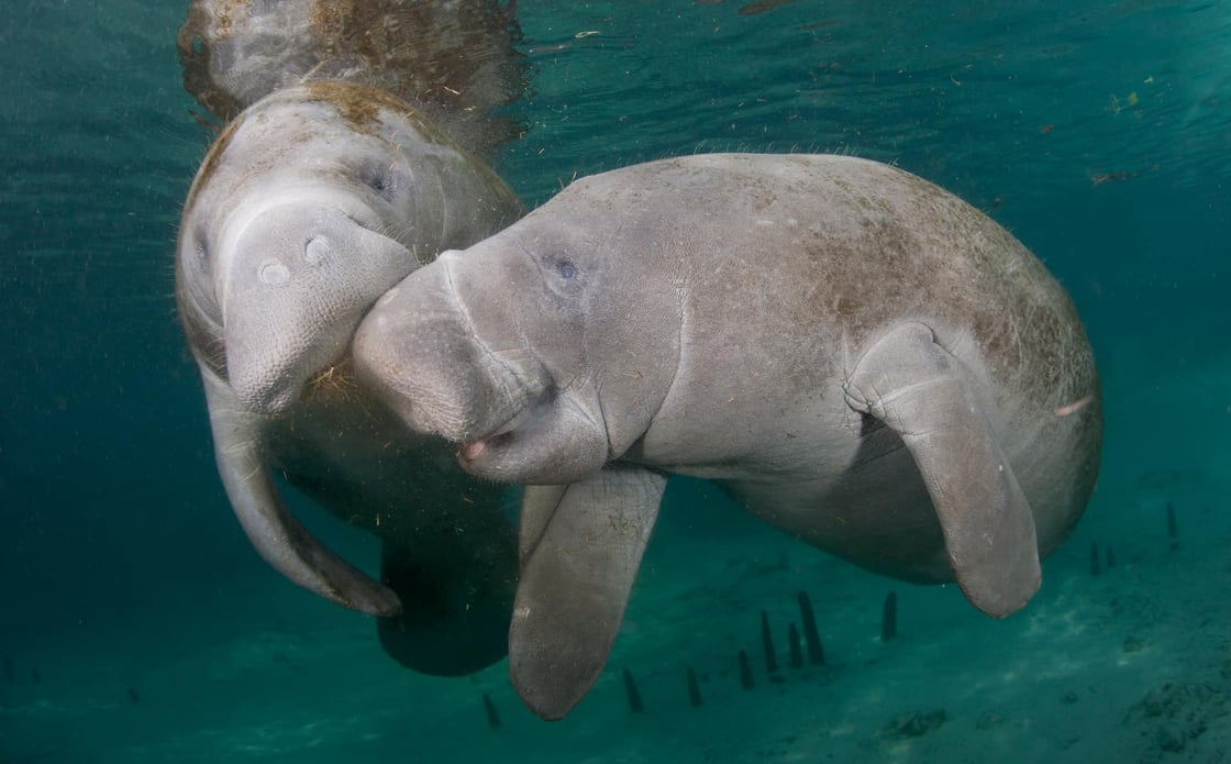 448909318_887287896777797_4504297067611147027_n