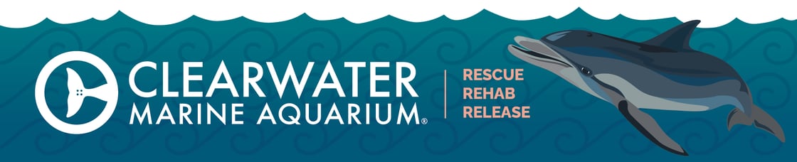 CMA Email Header Finals2_CMA Member Exclusive 1 copy 3