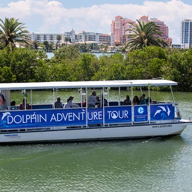 Dolphin-Adventure-Tour-Boat-375x375