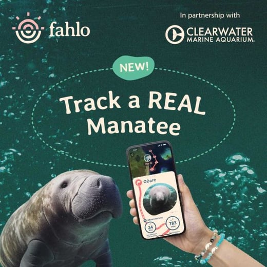 fahlo-clearwatermarineaquarium-1080x1080-b_1x